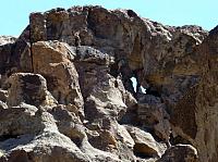 Mojave reserve (25).JPG